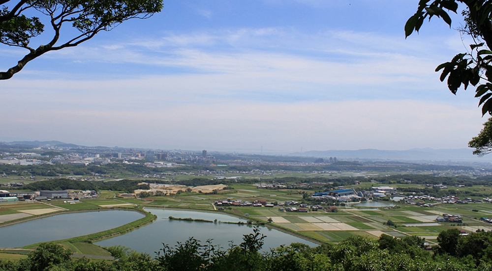 神出神社から望む田園風景